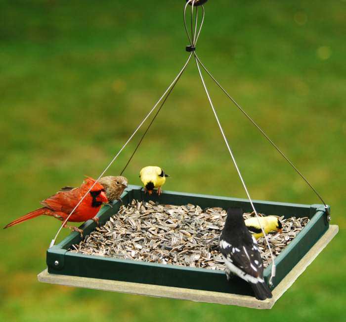 Recycled Small Hanging Platform Feeder Driftwood